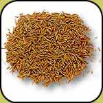 cumin seeds exporter, spices from india, indian masala exporters